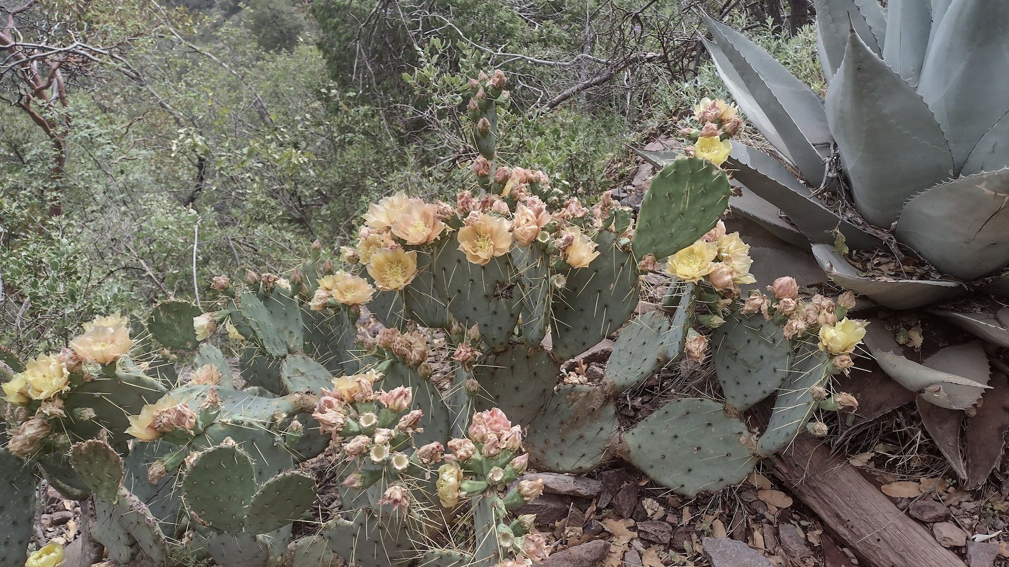 BBNP Memorial Day Trip Report