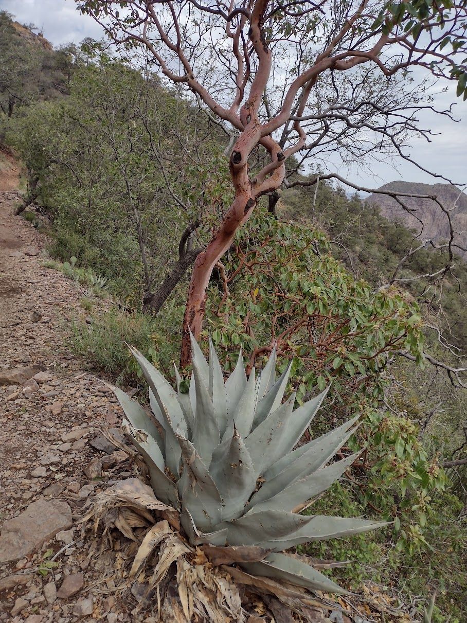 BBNP Memorial Day Trip Report