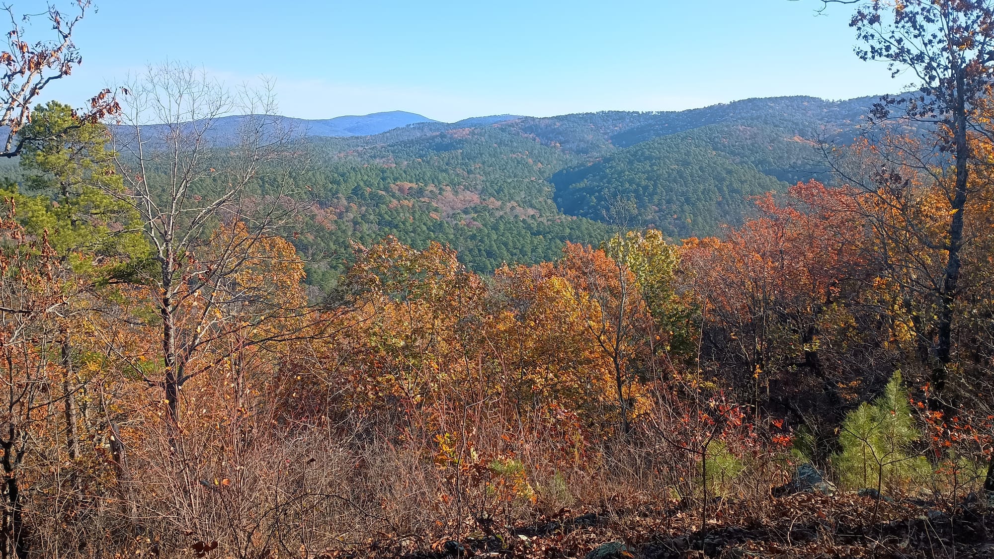 Ouachita Trail Trip Report