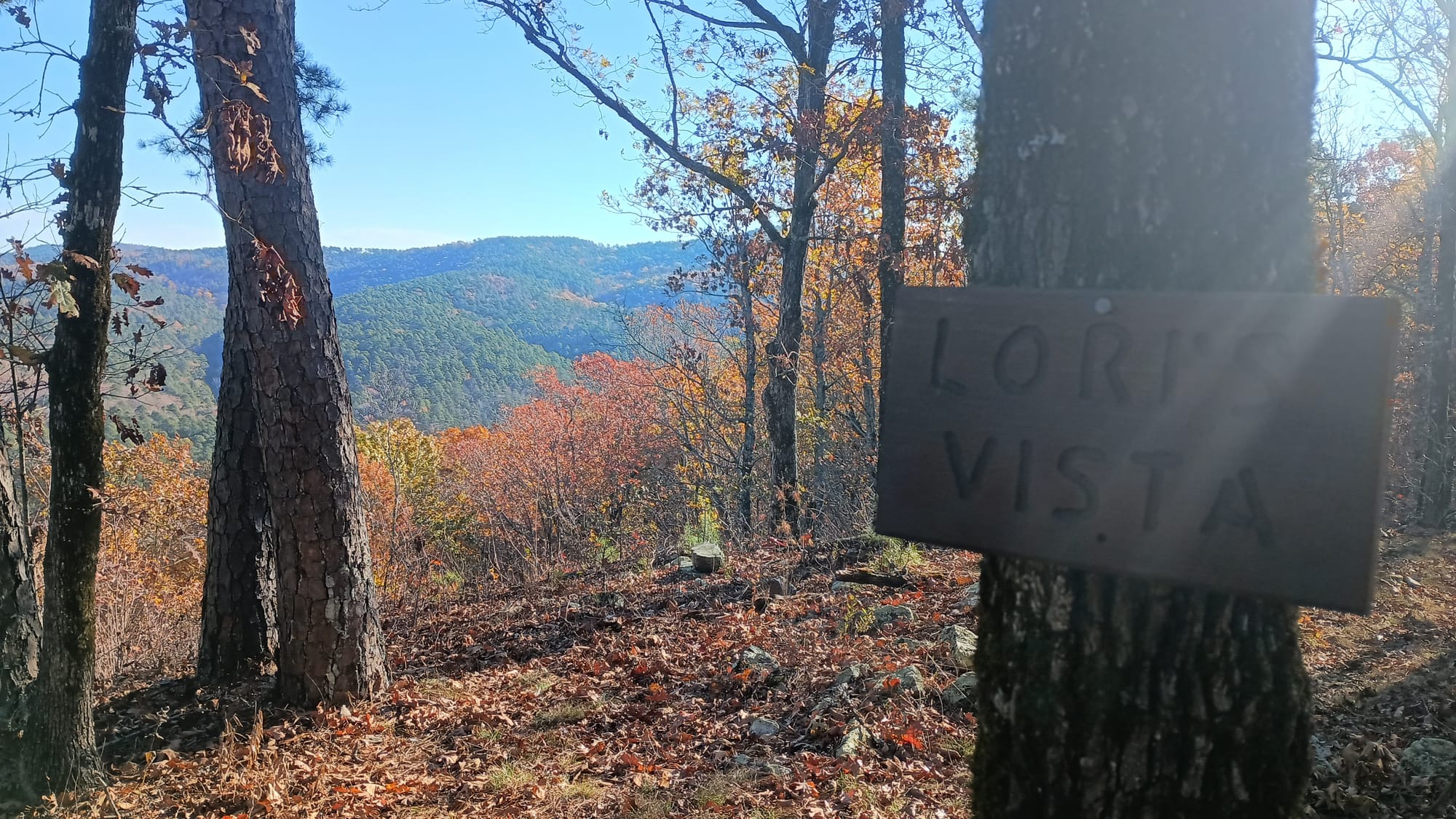 Ouachita Trail Trip Report