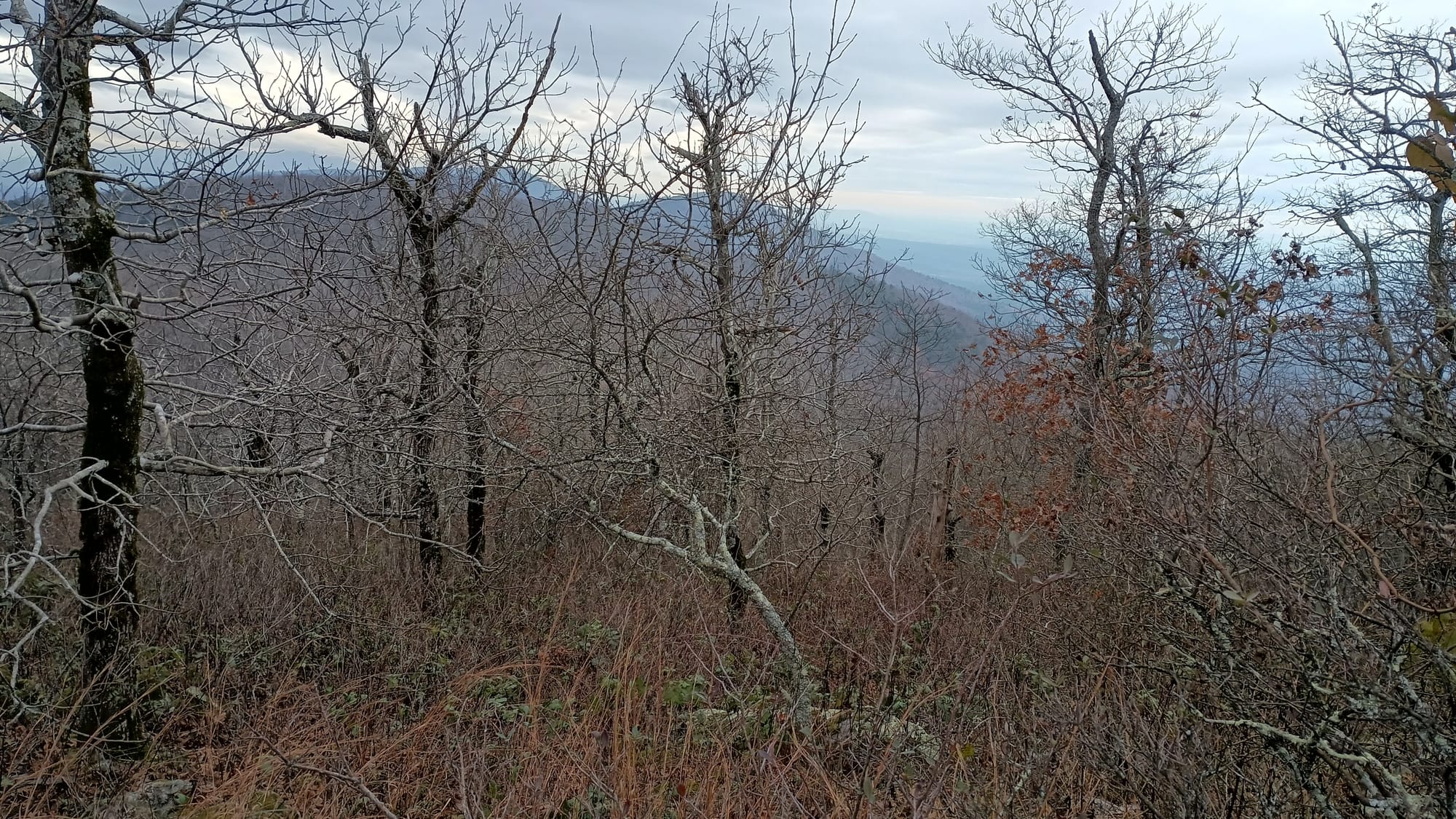 Ouachita Trail Trip Report