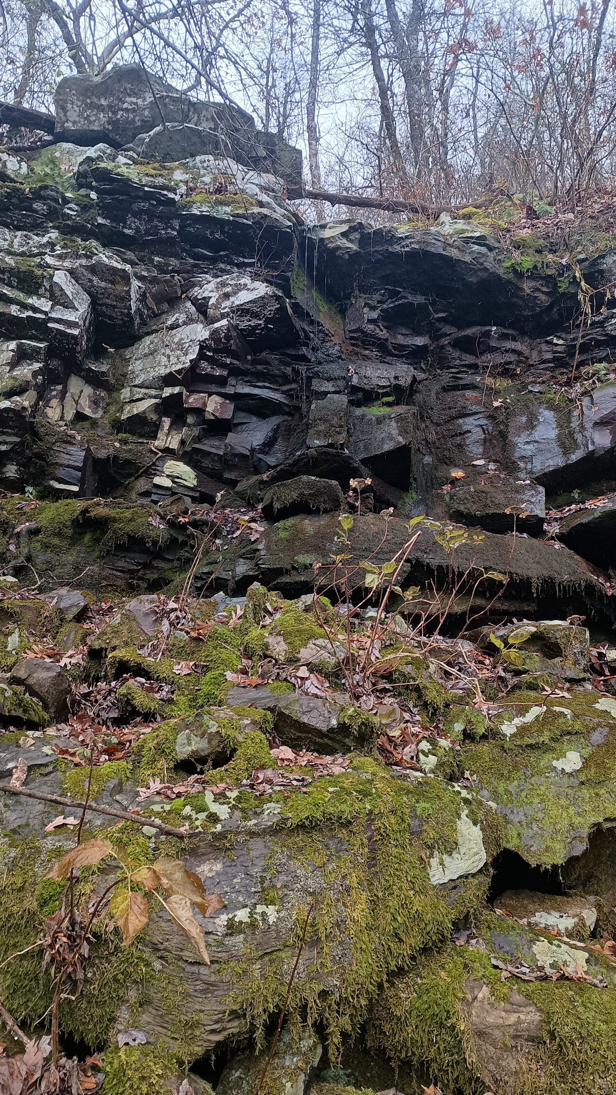 Ouachita Trail Trip Report